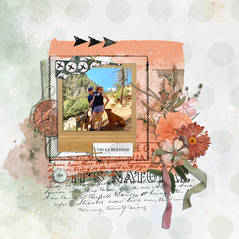 Natura Digital Scrapbooking Collection by Lynn Grieveson - Image 9