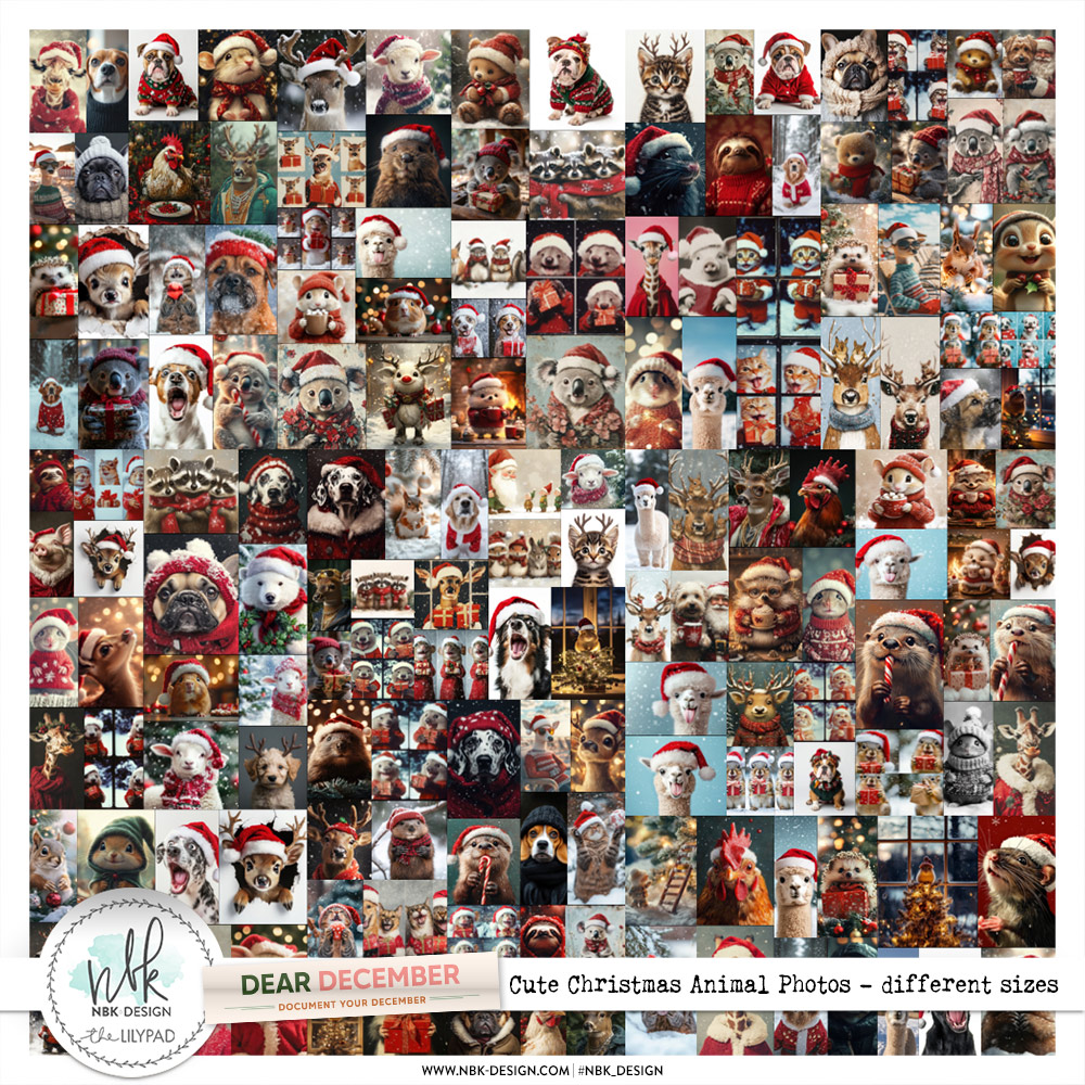 Dear December {Cute Christmas Animal Photos}