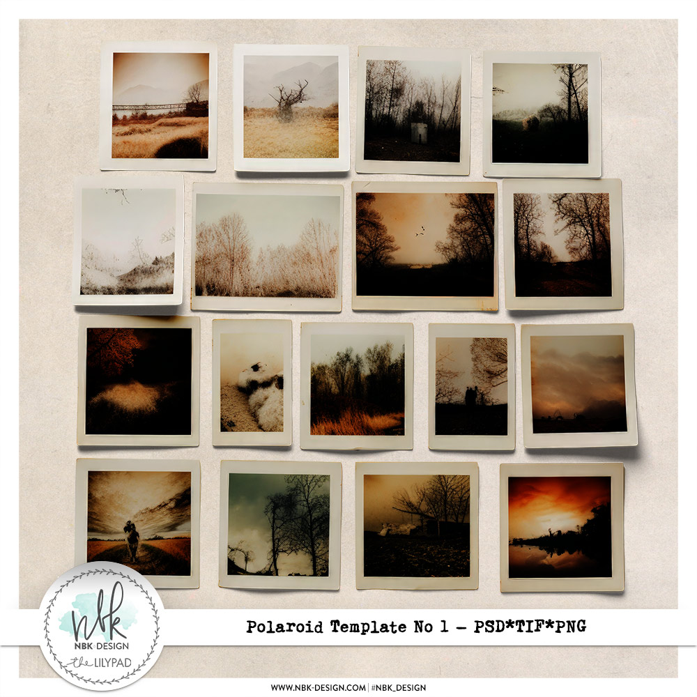 Polaroid Template #01