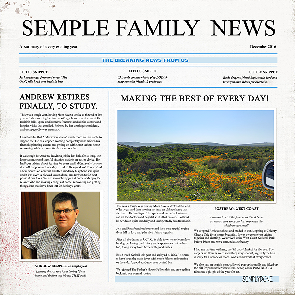 Family Newsletter Templates - Image 3