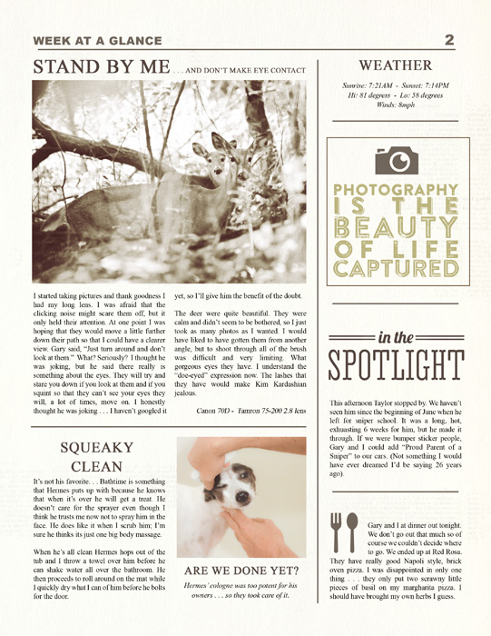 Family Newsletter Templates - Image 4