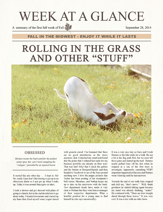 Family Newsletter Templates - Image 5