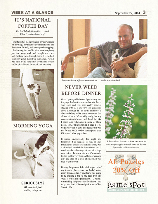 Family Newsletter Templates - Image 6