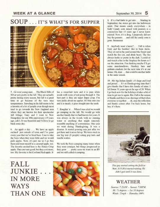 Family Newsletter Templates - Image 7