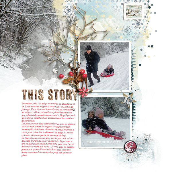 Nordland Transfers - Image 3