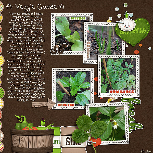 Veggie Garden - Image 7