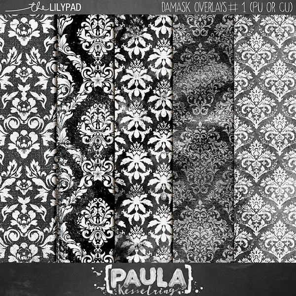 CU - Damask Overlays #1