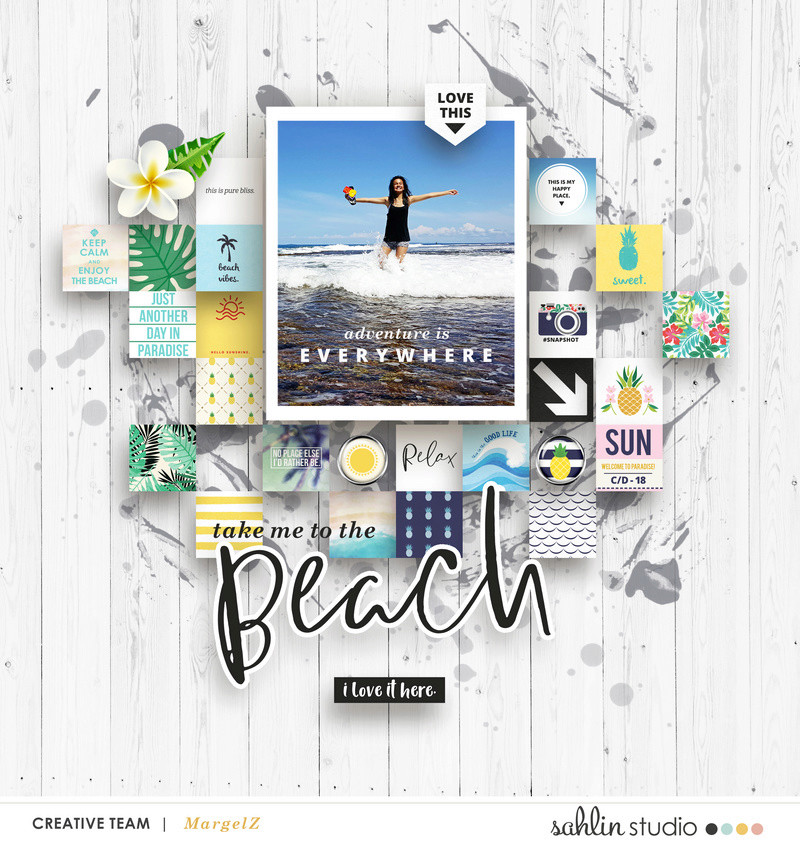 Project Mouse (Paradise): Elements - Image 9