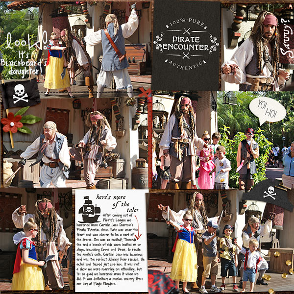 Project Mouse (Pirates) Cards - Image 2