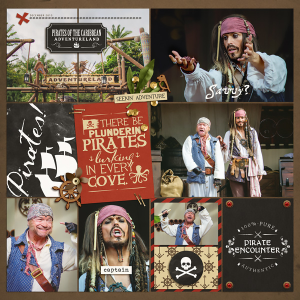 Project Mouse (Pirates) Cards - Image 5