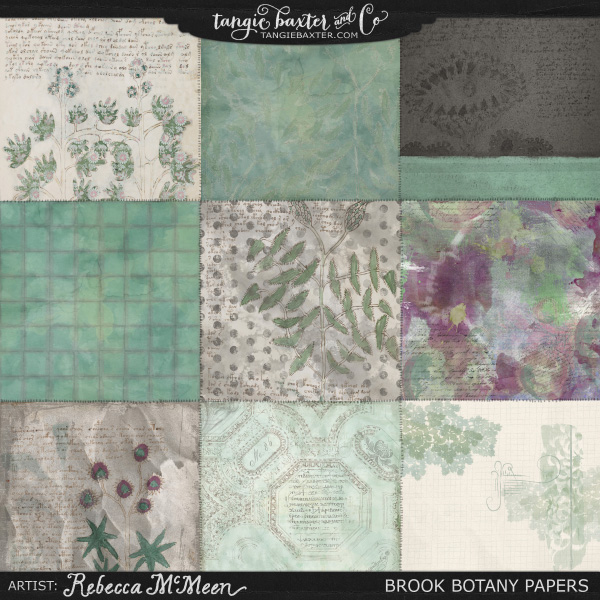 Bethany Botany - Image 10