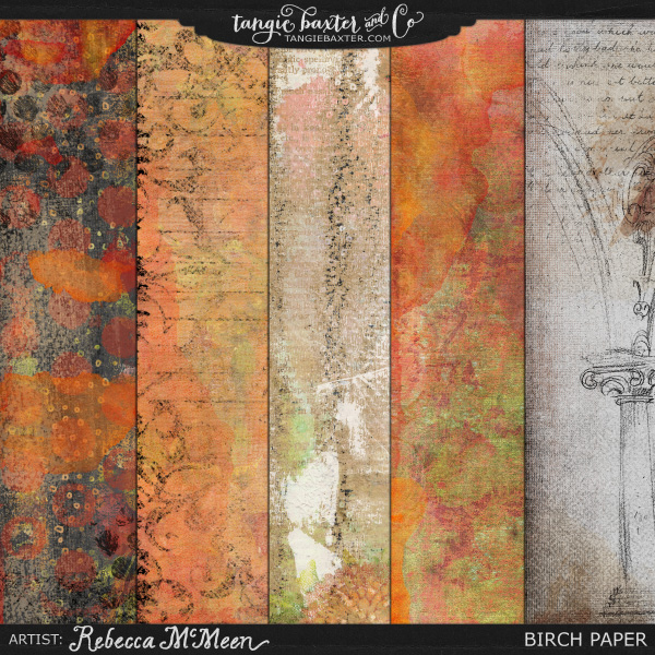 Birch - Image 7