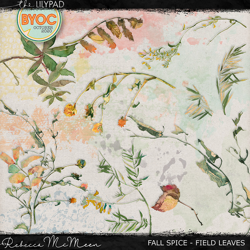 Fall Spice [Field Leaves]