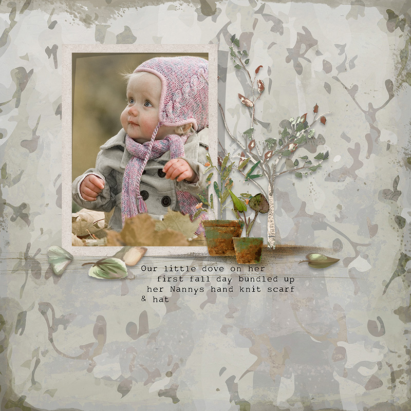 Marjoram Nature - Image 4