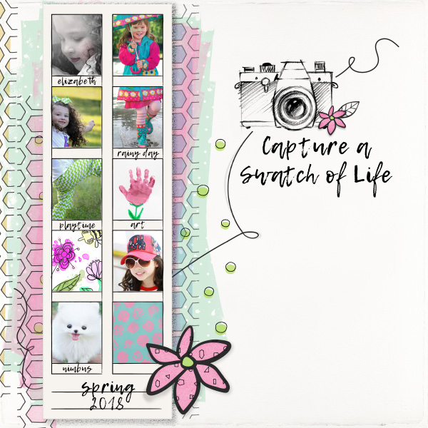 Life Swatch Templates and Elements - Image 2