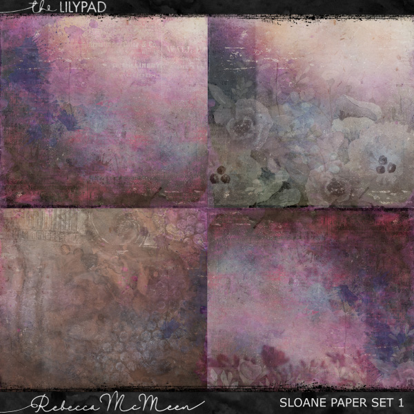 Sloane {Entire Bundle} - Image 5