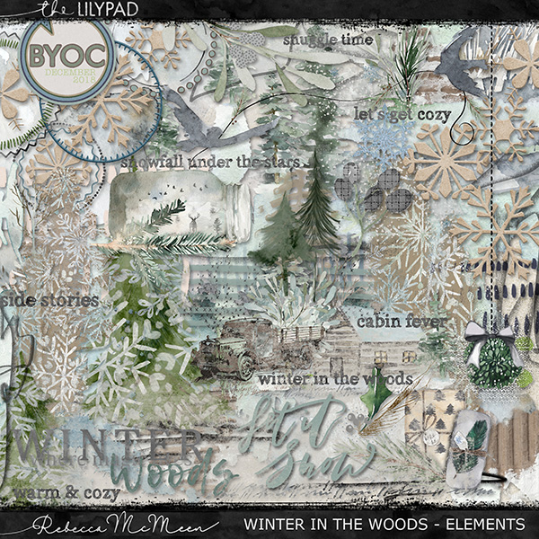 Winter in the Woods