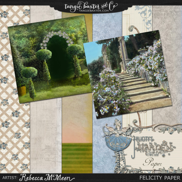 Felicity - Image 8