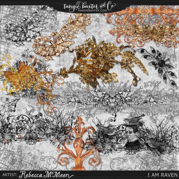 I am Raven {Bundle} - Image 5