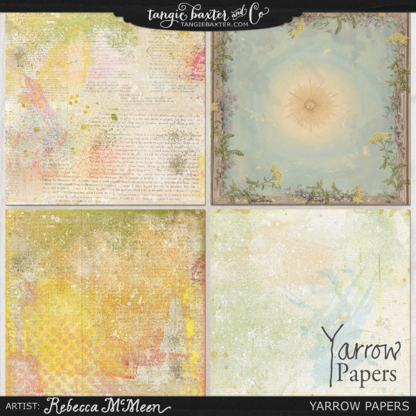 Yarrow - Image 3