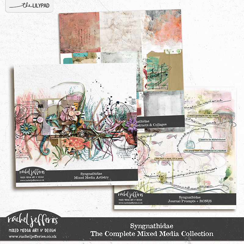 Syngnathidae | The Complete Mixed Media Collection