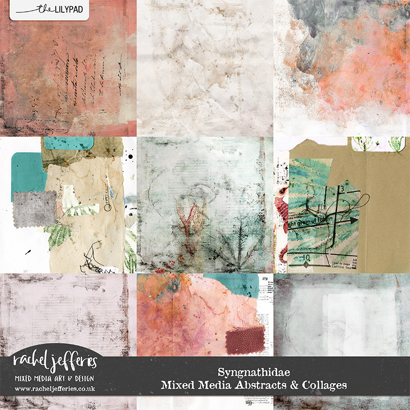 Syngnathidae | Mixed Media Abstracts & Collages