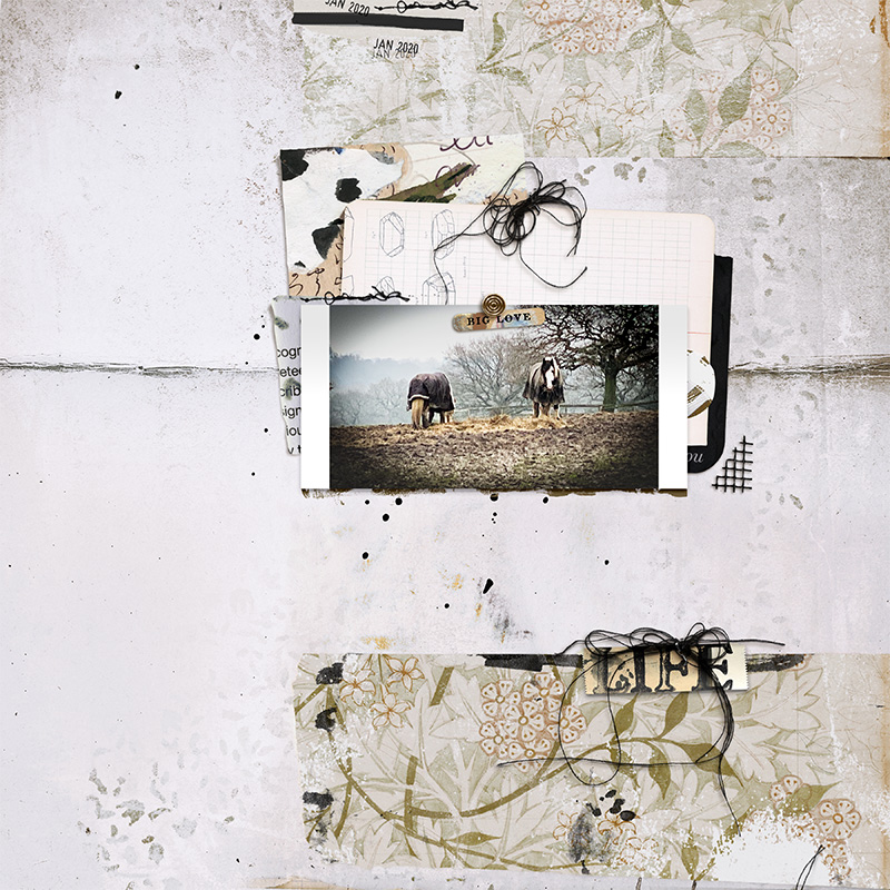 The Assembles Collection: Olive | 'Barely There' Organic Paperie - Image 7