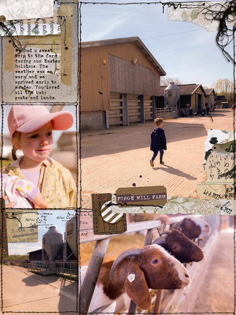 The Assembles Collection: Olive | Collage Bits and Bobs - Image 8