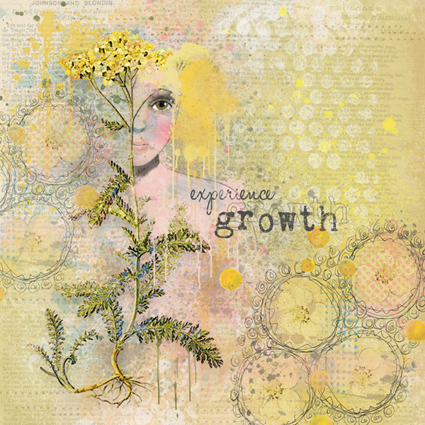 Yarrow - Image 7