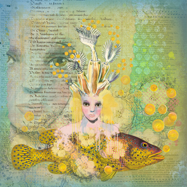 Yarrow - Image 10