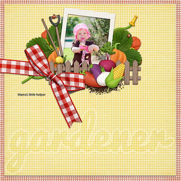 Veggie Garden - Image 8