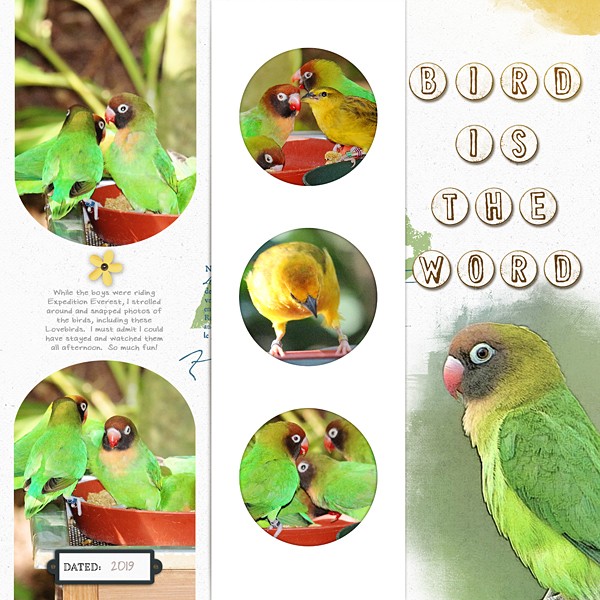 See This Album No3 - Image 9