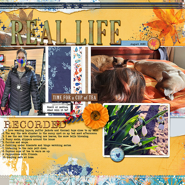 Springboard No14 templates - Image 9