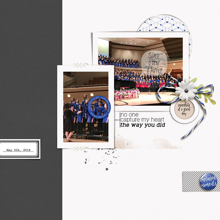 Springview Templates - Image 7