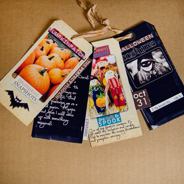 snipettes: the perfect pumpkin - Image 7