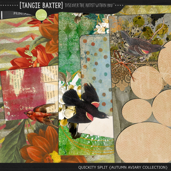 Quickity Split Refill {Autumn Aviary Collection} - Image 2