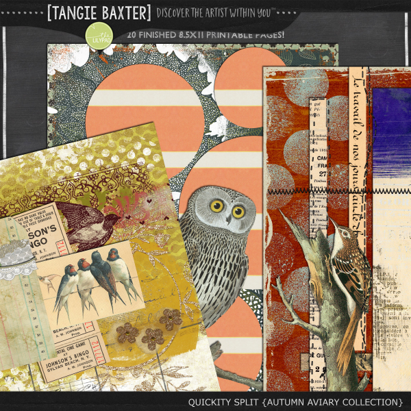 Quickity Split Refill {Autumn Aviary Collection} - Image 5