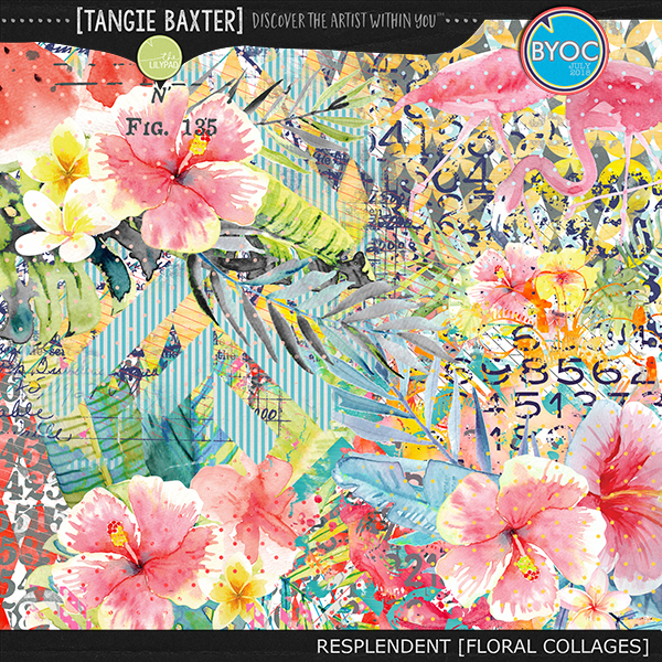 Resplendent Floral Collages