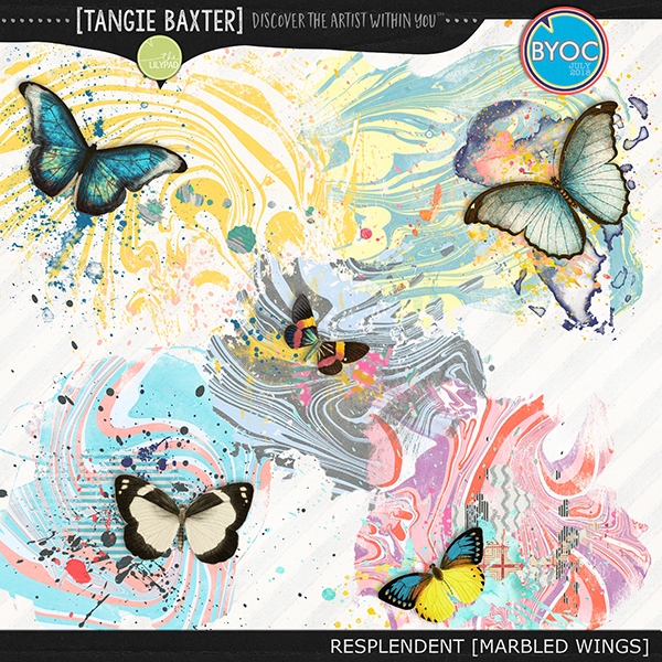 Resplendent Marbled Wings