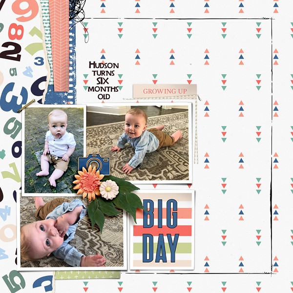 Tearing Along templates - Image 7