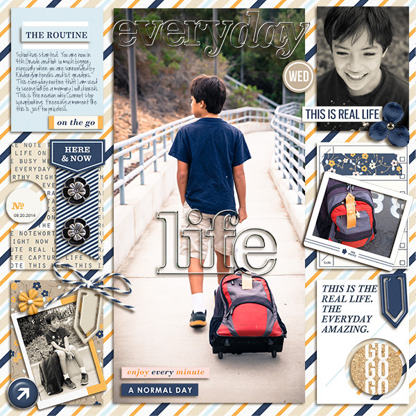 the everyday routine (kit) - Image 3