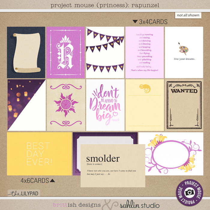 Project Mouse (Princess) Spirited BUNDLE - Image 6