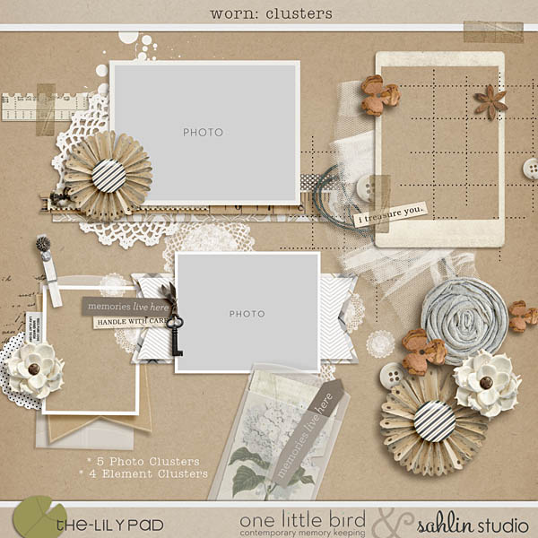 worn: clusters by one little bird and sahlin studio