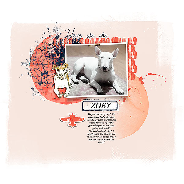 Diggity Dog - Image 2