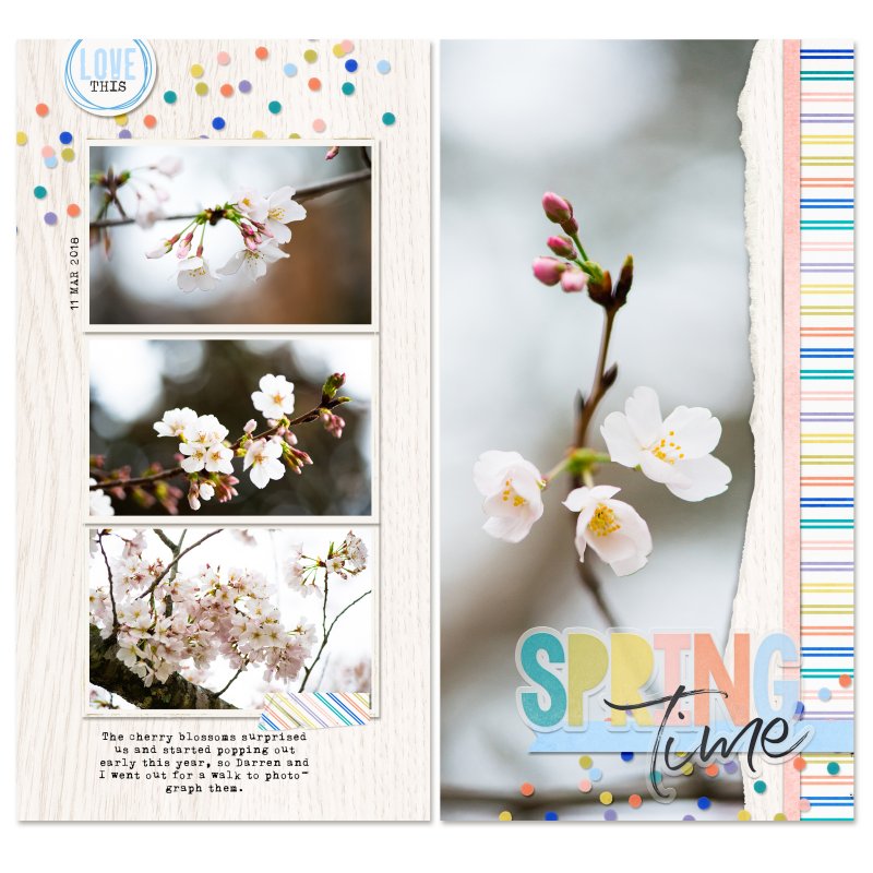 Torn It template album - Image 8