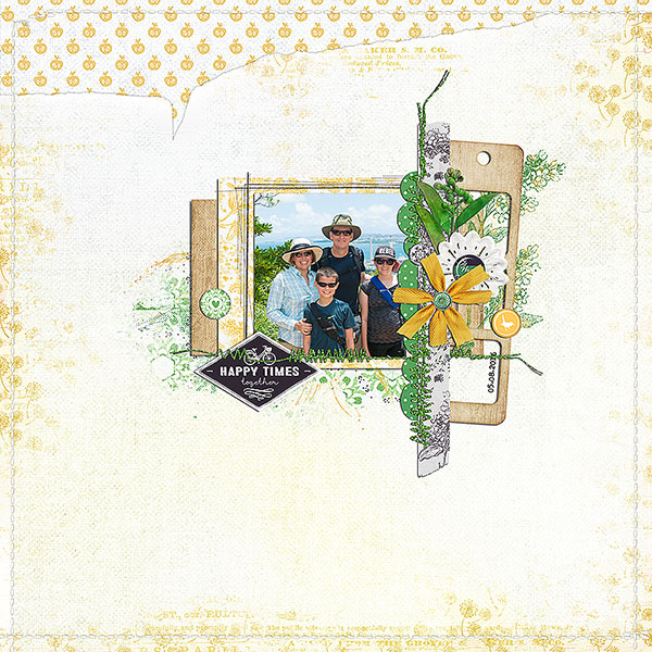 Vera Kit - Image 4