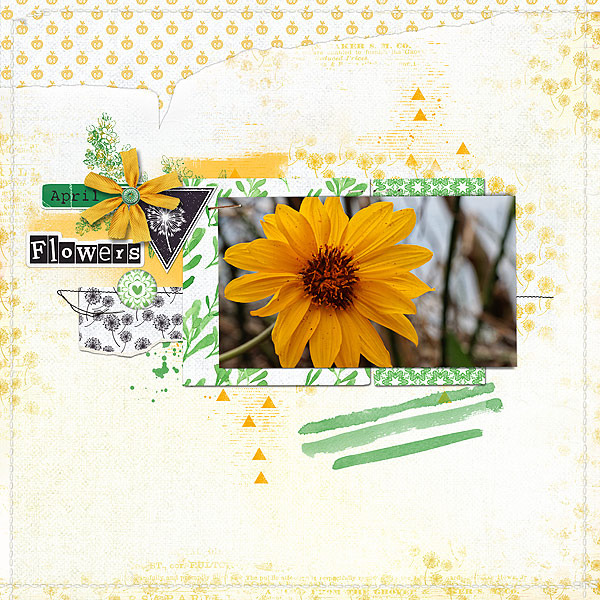 Vera Kit - Image 10