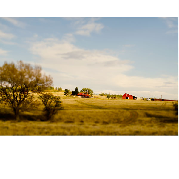 Fauxto Tilt - Image 9