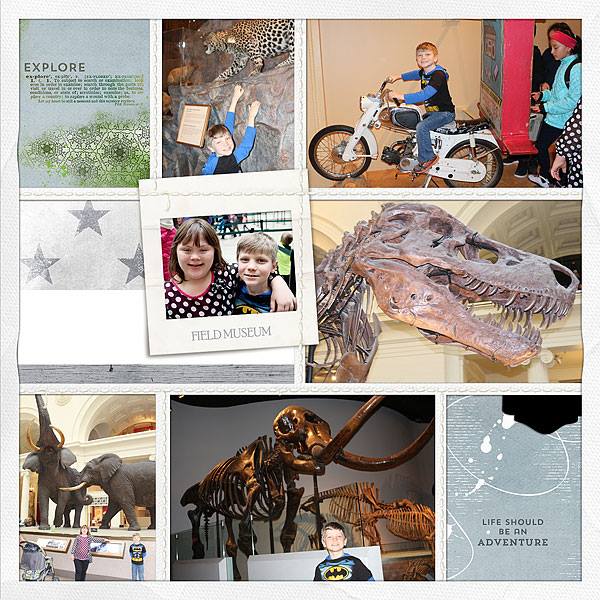 Walden Journal Cards - Image 3