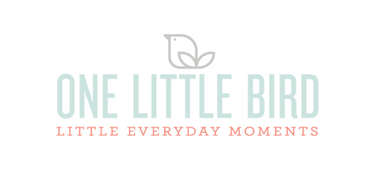 One Little Bird